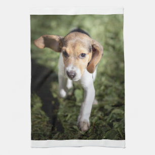 Linge De Cuisine Animaux de bébés cutest Chiot Beagle