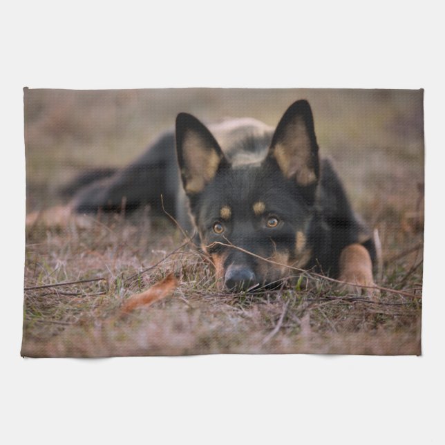 Linge De Cuisine Animaux de bébés cutest | Chiot berger allemand (Horizontal)