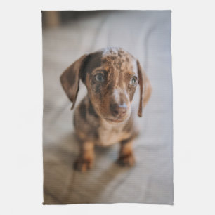 Linge De Cuisine Animaux de bébés cutest   Chiot Brown