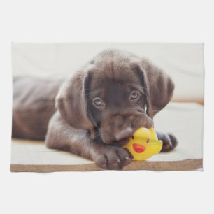 Linge De Cuisine Animaux de bébés cutest   Chocolat Labrador Puppy