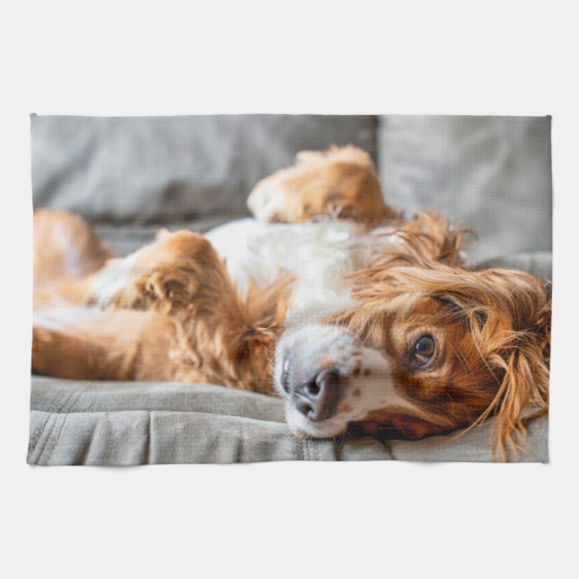 Linge De Cuisine Animaux de bébés cutest | Cocker Spaniel (Horizontal)
