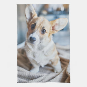 Linge De Cuisine Animaux de bébés cutest   Corgi Head Tilt