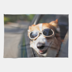 Linge De Cuisine Animaux de bébés cutest   Corgi lunettes dans la v