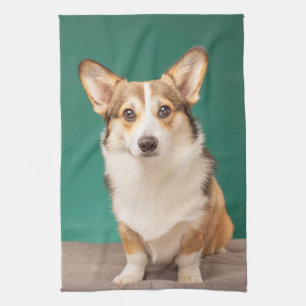 Linge De Cuisine Animaux de bébés cutest   Corgi sur Turquoise