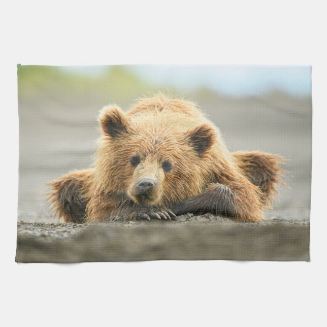 Linge De Cuisine Animaux de bébés cutest | Cub d'ours Brown côtier (Horizontal)
