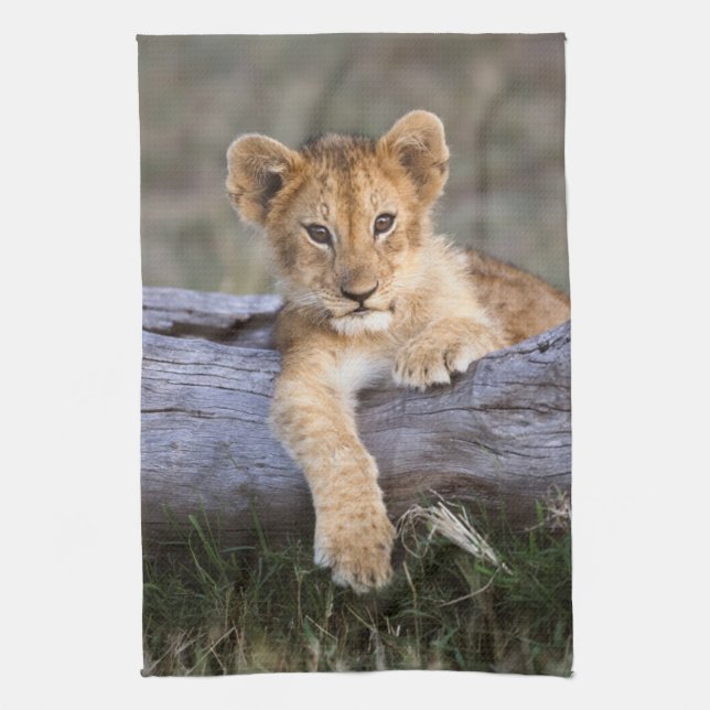 Linge De Cuisine Animaux de bébés cutest | Cute Lion Cub (Vertical)