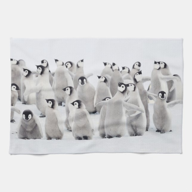 Linge De Cuisine Animaux de bébés cutest | Empereur Penguin Chicks (Horizontal)