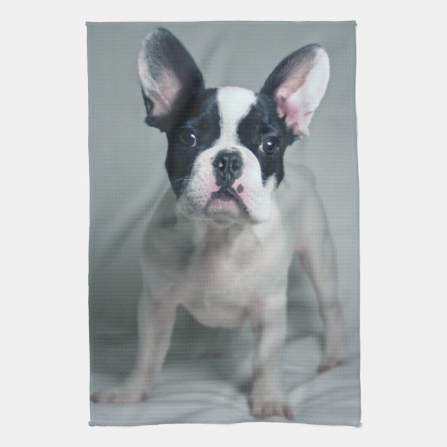 Linge De Cuisine Animaux de bébés cutest | French Bulldog Puppy (Vertical)