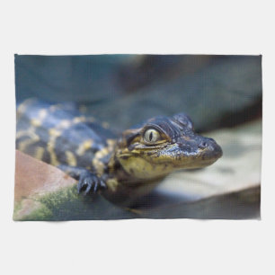 Linge De Cuisine Animaux de bébés cutest Jeune alligator