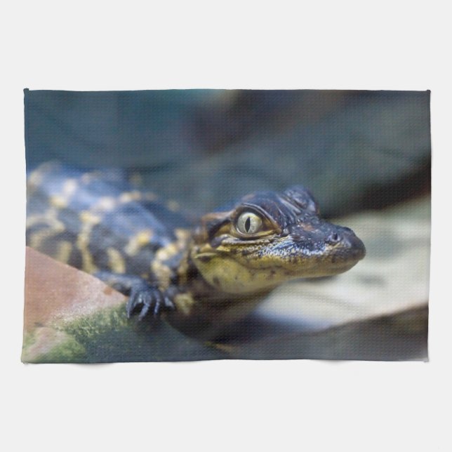 Linge De Cuisine Animaux de bébés cutest | Jeune alligator (Horizontal)