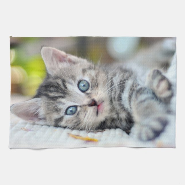 Linge De Cuisine Animaux de bébés cutest | Kitten aux yeux bleus (Horizontal)