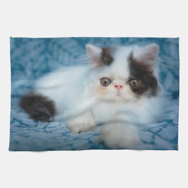 Linge De Cuisine Animaux de bébés cutest | Kitten noir et blanc (Horizontal)