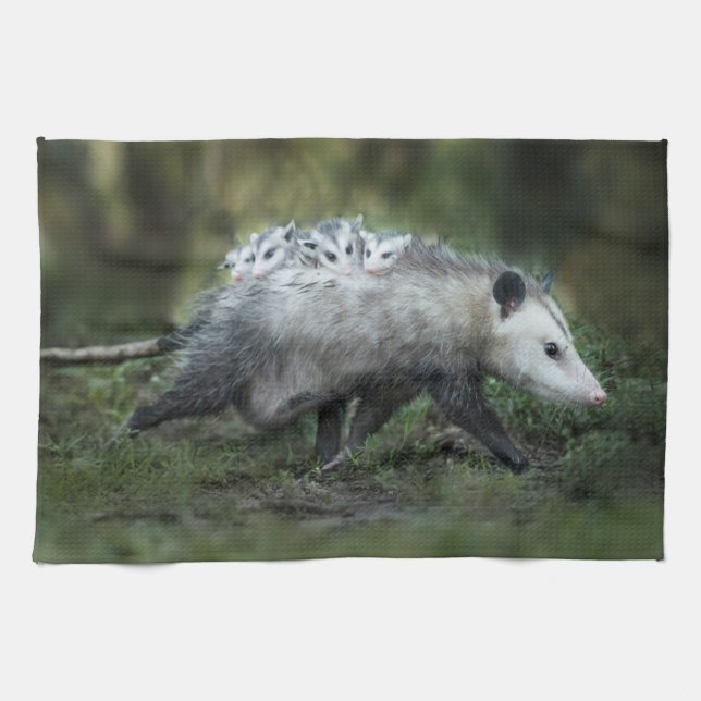 Linge De Cuisine Animaux de bébés cutest | Opossum Maman & Kids (Horizontal)