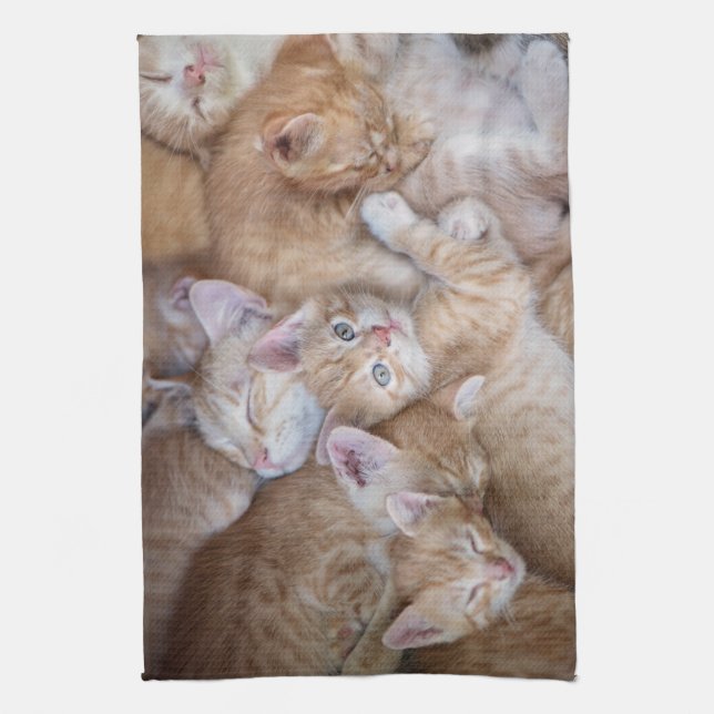 Linge De Cuisine Animaux de bébés cutest | Orange Kitten Pile (Vertical)