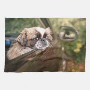 Linge De Cuisine Animaux de bébés cutest   Pekingese Chiot en voitu