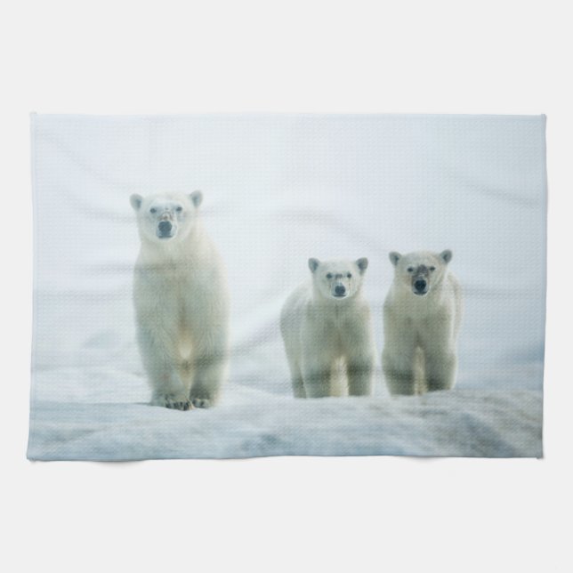 Linge De Cuisine Animaux de bébés cutest | Trois jeunes ours polair (Horizontal)