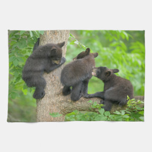 Linge De Cuisine Animaux de bébés cutest Trois jeunes petits ours