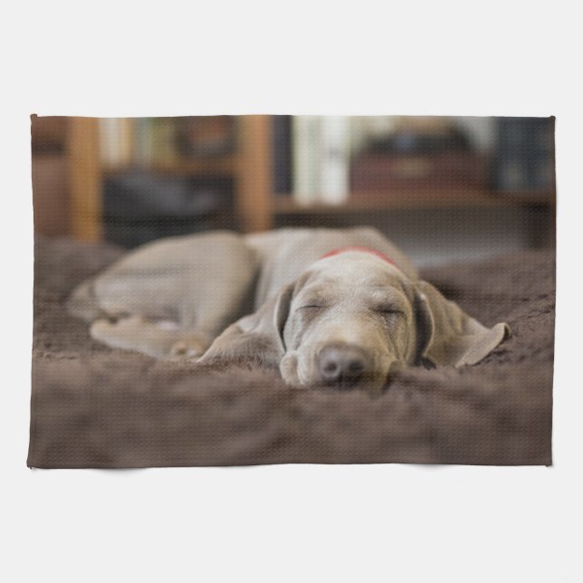 Linge De Cuisine Animaux de bébés cutest | Weimaraner Puppy Sleepin (Horizontal)