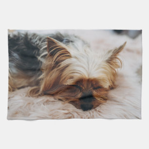 Linge De Cuisine Animaux de bébés cutest   Yorkshire Terrier
