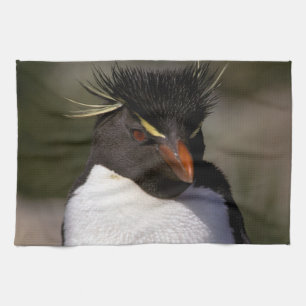 Linge De Cuisine Antarctique, îles sub-antarctiques, Sud 5