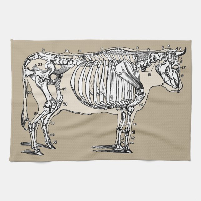 Linge De Cuisine Antique Cow Skeleton Bones (Horizontal)