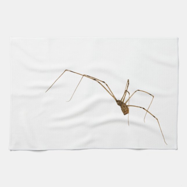 Linge De Cuisine Araignée (Horizontal)