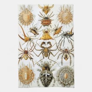 Linge De Cuisine Araignées Vintage ou Arachnides par Ernst Haeckel