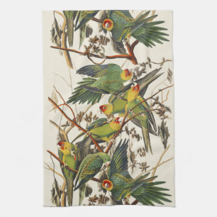 Linge De Cuisine Art ancien d'oiseau de Audubon Perruche de Carolin
