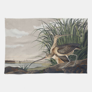 Linge De Cuisine Art vintage d'oiseau Courlis à long bec d'Audubon