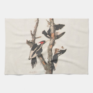 Linge De Cuisine Audubon Ivory-Billed