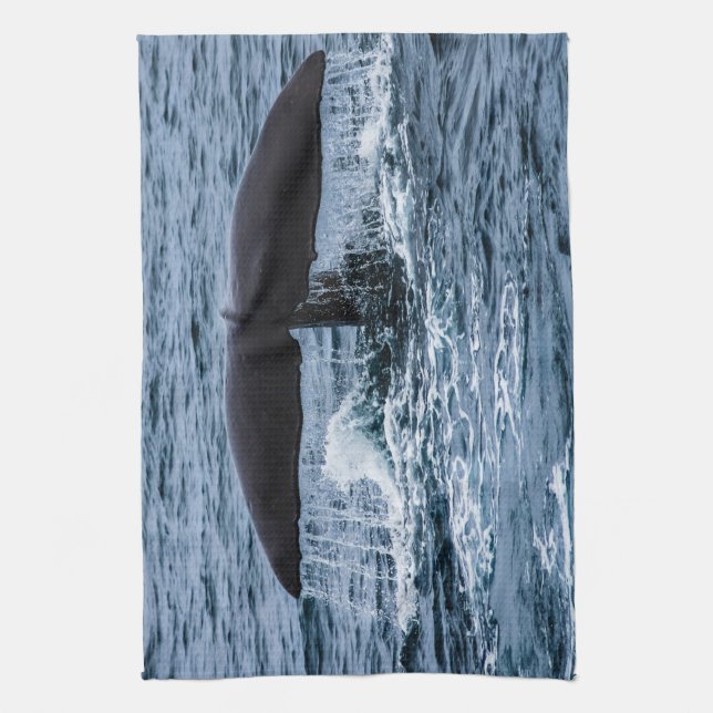 Linge De Cuisine Baleine de Sperm (Vertical)