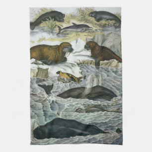 Linge De Cuisine Baleines, phoques et morses, animaux marins vintag
