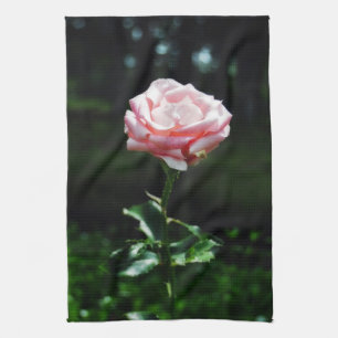 Linge De Cuisine Beau rose de rose