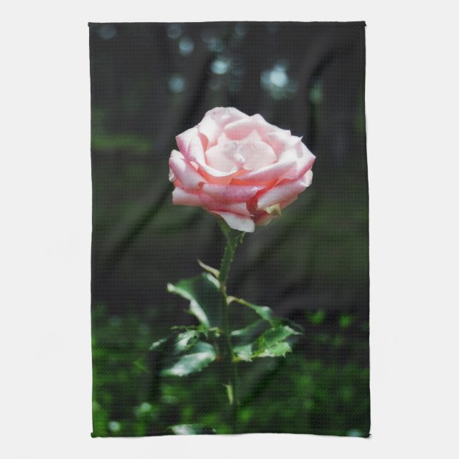 Linge De Cuisine Beau rose de rose (Vertical)