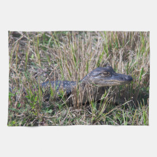 Linge De Cuisine Bébé alligator dans la photographie de l'herbe des