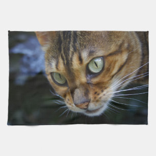 Linge De Cuisine Belle Chat Bengale