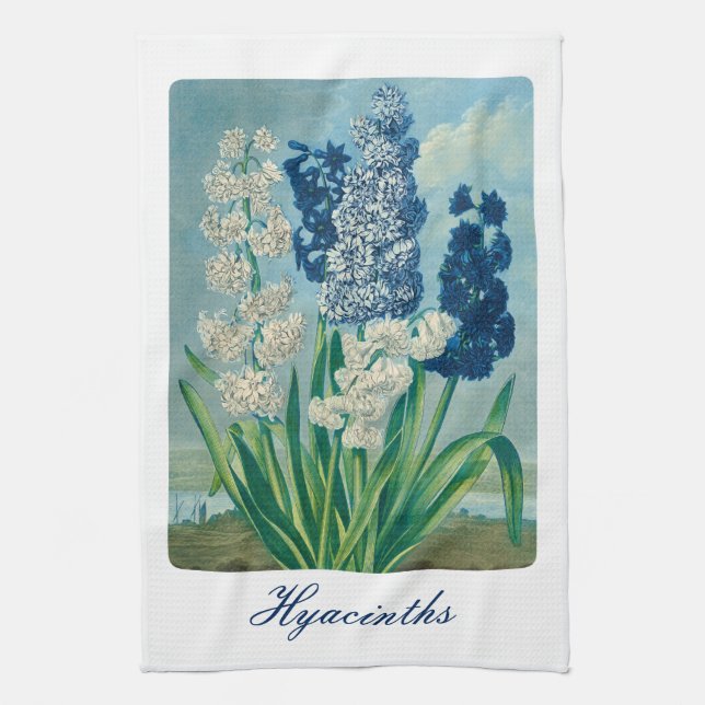 Linge De Cuisine Blue Hyacinths Art botanique Vintage (Vertical)
