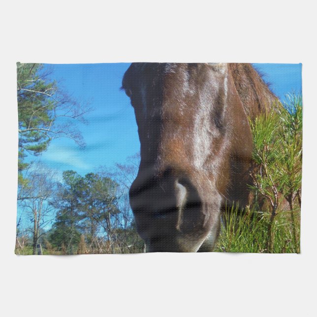 Linge De Cuisine Brown et crème Couleur Cheval bleu ciel (Horizontal)