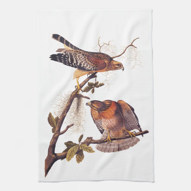 Linge De Cuisine Buse à épaulettes roux Audubon Oiseau de proie (Vertical)
