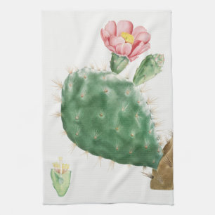 Linge De Cuisine Cactus Cochenillifer, Illustration Antique, 1799 