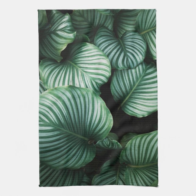 Linge De Cuisine Calathea feuille, plat plante tropical rayé (Vertical)