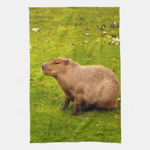 Linge De Cuisine Capybara