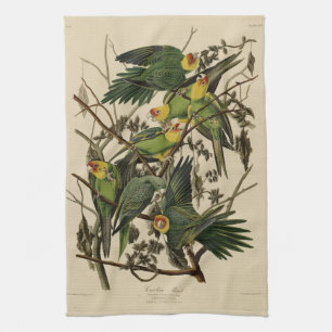 Linge De Cuisine Carolina Parrot de Audubon's Birds of America