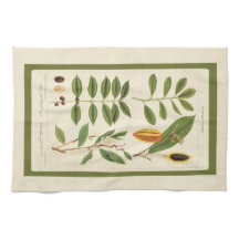 Carte Plante du café Thé antique Botanique Boisson