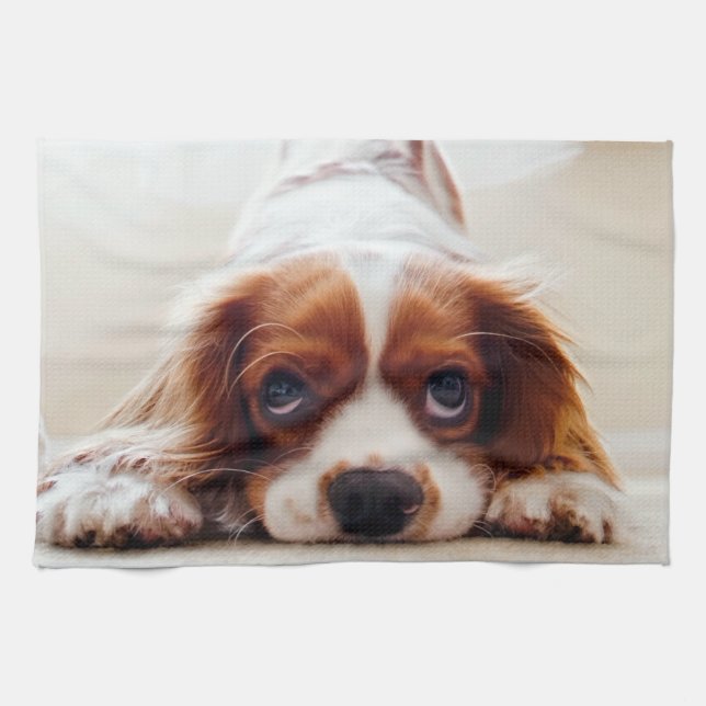 Linge De Cuisine Cavalier King Charles Spaniel (Horizontal)