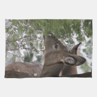 Linge De Cuisine Cerfs communs mangeant des branches de cèdre
