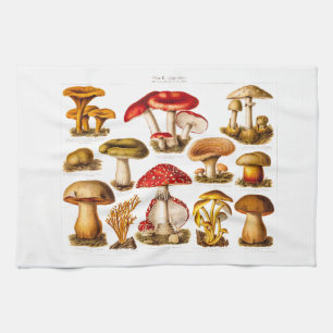 Linge De Cuisine Champignons vintages de rouge de variété de