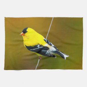 Linge De Cuisine Chardonneret jaune américain - Photographie origin