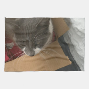 Linge De Cuisine Chat dans la boîte