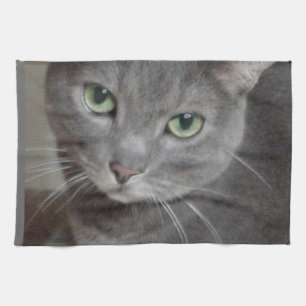 Linge De Cuisine Chat gris bleu russe